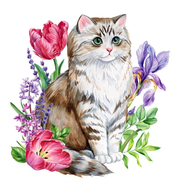 Bahar çiçeği sümbülü, karabatak, iris izole beyaz arka planı olan komik bir kedi. Hayvan resimleri suluboya resimler, tasarım kartları. Yüksek kaliteli illüstrasyon