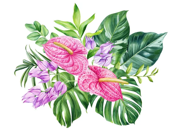 Exotic anturium flowers hand drawn, palm leaves drawn in watercolor. Botanical trendy compositions with tropical leaf. High quality illustration