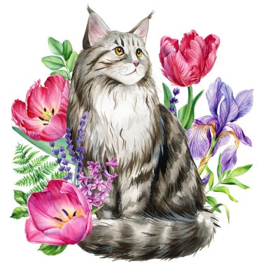 Bahar çiçeği sümbülü, karabatak, iris izole beyaz arka planı olan komik bir kedi. Hayvan resimleri suluboya resimler, tasarım kartları. Yüksek kaliteli illüstrasyon
