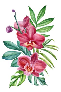 Tropik çiçekler ve yapraklar. Gerçekçi botanik illüstrasyon beyaz arka plan, suluboya pembe çiçek. orman tasarımı. Yüksek kaliteli illüstrasyon