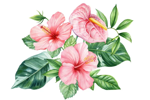 tropical plants, palm leaves and pink flowers, jungle green leaves hand painted with watercolor, botanical painting. High quality illustration