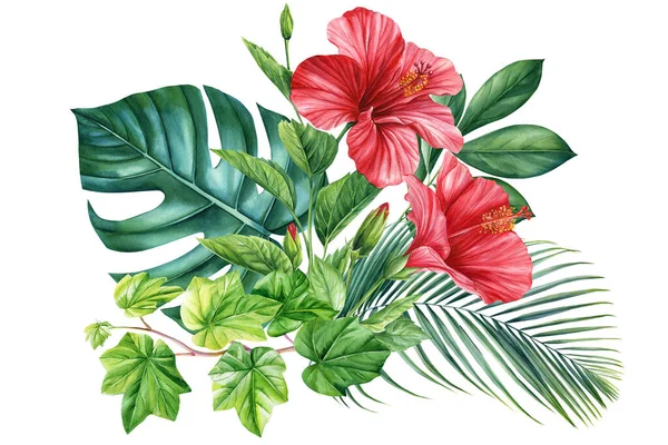 tropical plants, palm leaves and hibiscus flowers , jungle green leaves hand painted with watercolor, botanical painting. High quality illustration