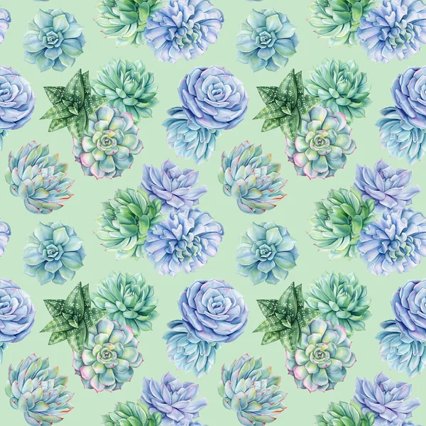 Tropical Exotic Watercolor succulents seamless pattern. Flora Texture with tropical green plant. Summer garden background. High quality illustration