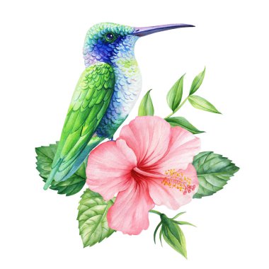 Mavi sinekkuşu, tropikal çiçek, yaprak suluboya izole edilmiş, güzel yaz doğa çizimi, egzotik bitki tasarımı, hayvan sanatı çizimi. Yüksek kaliteli illüstrasyon