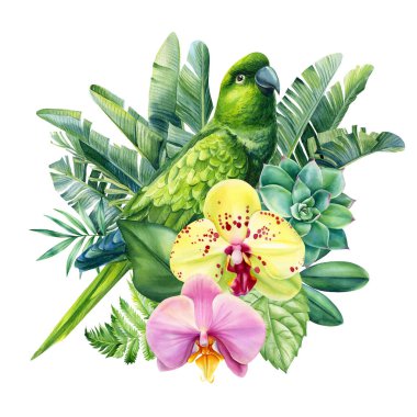 Tropikal kuş, çiçekler, yapraklar ve yeşil bitkiler suluboya elle çizilmiş. Egzotik vahşi yaşam tasarımı Amazon papağanı. Şirin bir çiçek parçası. Yüksek kaliteli illüstrasyon
