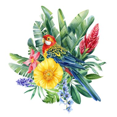 Tropikal kuş, çiçekler, yapraklar ve yeşil bitkiler suluboya resimler çiziyor. Egzotik vahşi yaşam tasarımı. Çiçek parçası. Yüksek kaliteli illüstrasyon