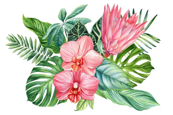 Tropical palm leaves and flowers, monstera, protea and hibiscus. Green leaves painted hand-made watercolor, botanical. High quality illustration