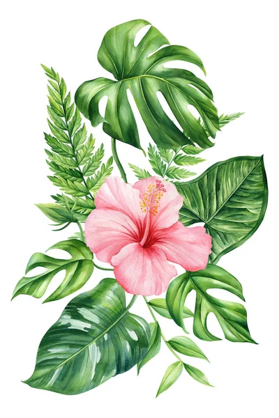 Tropical plants, palm leaves and flowers, monstera, orchid and hibiscus. Green leaves painted hand-made watercolor, botanical painting. High quality illustration