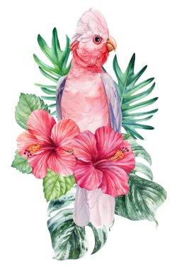 Papağan, çiçekler ve palmiye yaprakları. Hibiscus, pembe papağan, izole edilmiş beyaz arka plan. Suluboya el çizimi. Yüksek kaliteli illüstrasyon
