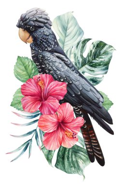 Siyah papağan, çiçekler ve palmiye yaprakları, güzel amberçiçeği, beyaz arka planda izole edilmiş papağan. Suluboya el botanik resim çiziyor. Yüksek kaliteli illüstrasyon