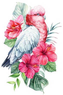 Yaz kuşu, pembe çiçekler, palmiye yaprakları. Hibiscus, papağan yalıtılmış arka plan. Suluboya elle boyanmış, yaz klibi. Yüksek kaliteli illüstrasyon