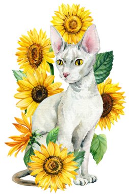 Beyaz arka planda çiçekli, kedili ve ayçiçekli bir hayvan. Suluboya el, parlak renkler çiziyor. Yüksek kaliteli illüstrasyon