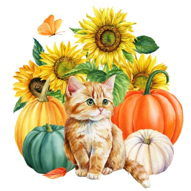 Tatlı zencefilli kedi yavrusu ve sarı çiçekler, ayçiçeği, kelebekler ve balkabağı soyutlanmış arka plan, sonbahar çiçekli hayvan. Yüksek kaliteli illüstrasyon