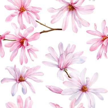 Magnolia çiçekleri. Yay pürüzsüz desen. Pembe çiçek, çiçek dalı. Çiçekli arka plan, elle boyanmış suluboya. Yüksek kaliteli illüstrasyon