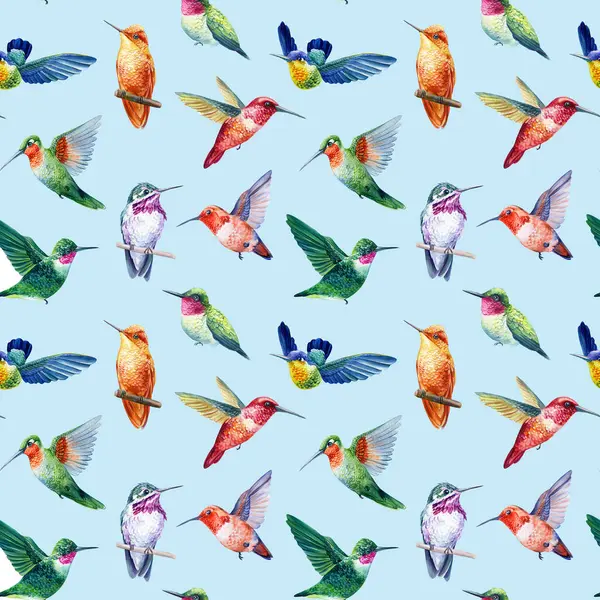 Acuarela Coloridas Aves Colibríes Dibujados Mano Fondo Aislado Patrón Sin — Foto de Stock