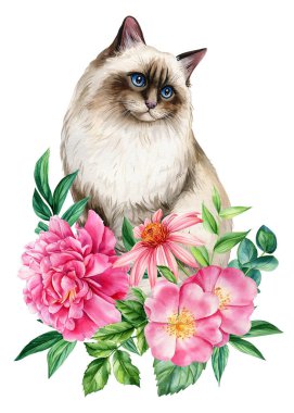 Güllü şirin bir kedi, şakayık çiçekleri, izole edilmiş beyaz arka planda yapraklar, hayvanların resimli posteri, suluboya. Yüksek kaliteli illüstrasyon