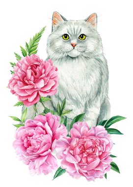 Güllü şirin bir kedi, şakayık çiçekleri, izole edilmiş beyaz arka planda yapraklar, hayvanların resimli posteri, suluboya. Yüksek kaliteli illüstrasyon