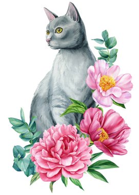 Şakayık ve güllerden oluşan güzel çiçekleri olan sevimli bir kedi, izole bir arka plan, suluboya El çizimi, kart, poster. Yüksek kaliteli illüstrasyon