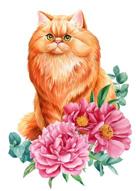 Şakayık ve güllerden oluşan güzel çiçekleri olan tatlı kırmızı kedi, izole edilmiş arka plan, suluboya el çizimi, kart, poster. Yüksek kaliteli illüstrasyon