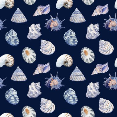 Suluboya deniz temizliği desenleri. Deniz kabuğu duvar kâğıdı, arka plan, el çizimi resim. Mavi deniz kabuğu. Yüksek kaliteli illüstrasyon
