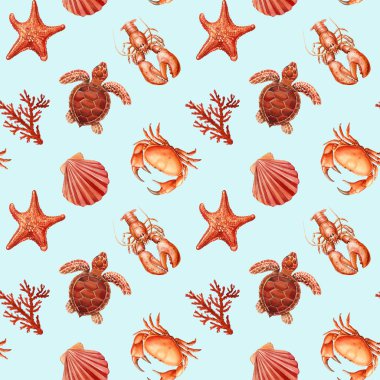 Suluboya deniz kabuğu pürüzsüz desenler. Su altı yaratıkları, yengeç, denizyıldızı, deniz kabuğu, mercan, kaplumbağa, deniz kağıdı, arka plan çizimi. Yüksek kaliteli illüstrasyon