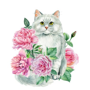 Arkaplanda gül çiçekleri olan güzel bir kedi. Suluboya resim, botanik çizim. Yüksek kaliteli illüstrasyon
