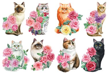 Çiçekli güzel bir kedi. Tecrit edilmiş arka planda bir grup kedi. Suluboya resim, botanik çizim. Yüksek kaliteli illüstrasyon