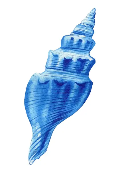 Blå Snäcka Isolerad Vit Bakgrund Akvarell Handritning Målning Summer Sea Stockbild