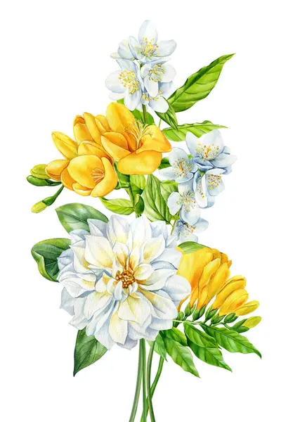 Καλοκαιρινά Λουλούδια Υδατογραφία Εικονογράφηση Χέρι Που Γιασεμί Dahlia Κίτρινο Φρέζια Φωτογραφία Αρχείου