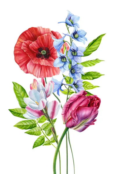 Συλλογή Από Αγριολούλουδα Λουλούδι Κήπου Και Φύλλα Floral Παστέλ Μπουκέτο Royalty Free Εικόνες Αρχείου