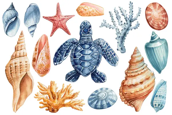 Állítsa Seashell Tengeri Csillag Teknős Korall Akvarell Előfizetői Gyönyörű Marine Stock Fotó