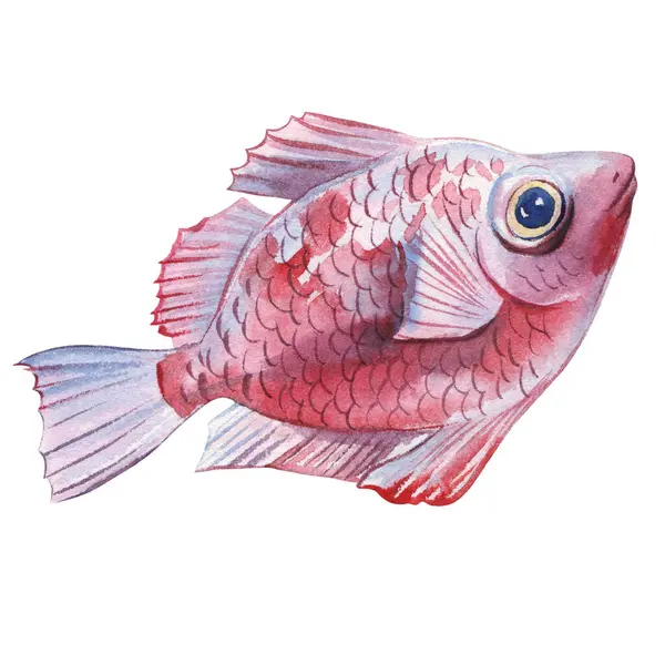 Sea Fish Watercolor Isolated White Background Marine Life Painting Watercolor Royalty Free Stock Fotografie
