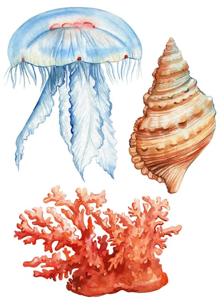 Muscheln Quallen Und Korallen Aquarell Auf Isoliertem Weißem Hintergrund Gemalte lizenzfreie Stockbilder