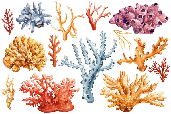 Korallen Setzen Aquarell Auf Isolierten Weißen Hintergrund Schöne Meeresklippe Bunte Stockfoto
