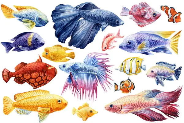 Meeresfisch Aquarell Isoliert Auf Weißem Hintergrund Meeresmalerei Aquarell Nautische Set lizenzfreie Stockfotos