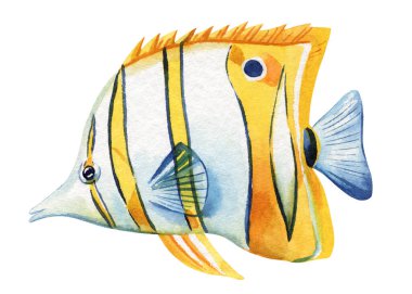 Beyaz arka planda izole edilmiş balık suluboya. Suyun altında, tropikal balıkların resmini çizen bir el. Yüksek kaliteli illüstrasyon