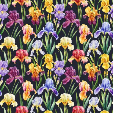 Suluboya çiçekleri. Yaprak arkaplan şablonlu kusursuz bitki deseni. Modern kusursuz desen. İris çiçeği. Yüksek kaliteli illüstrasyon