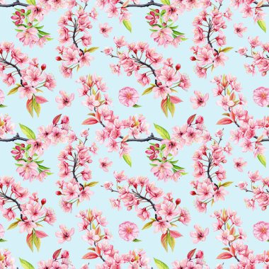 Sakura suluboya çiçekleri. Pembe kiraz çiçeklerinin kusursuz deseni, çiçekli arka plan şablonu. Modern kusursuz desen. Yüksek kaliteli illüstrasyon