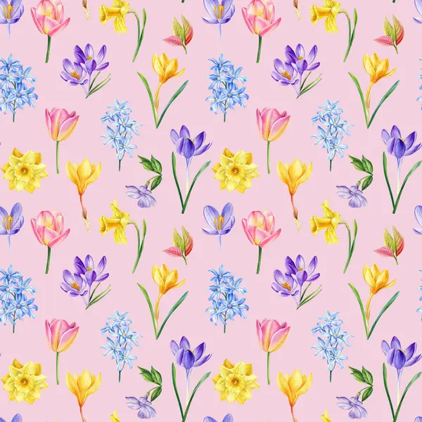 Watercolor Spring Flowers Crocus Daffodils Tulips Seamless Pattern Floral Background Stock Fotografie