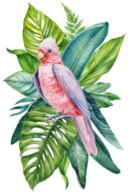 İzole edilmiş beyaz arka planda palmiye yapraklı papağan suluboya resimli el çizimi gerçekçi pembe kuş papağanı, tropikal bitki. Yüksek kaliteli illüstrasyon