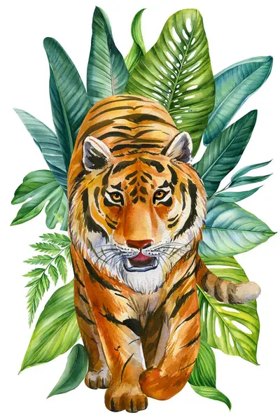 Tigertier Tropischen Wald Dschungelpalmenblätter Afrikanische Wilde Tierwelt Aquarelllandschaft Grüne Palmen Stockbild