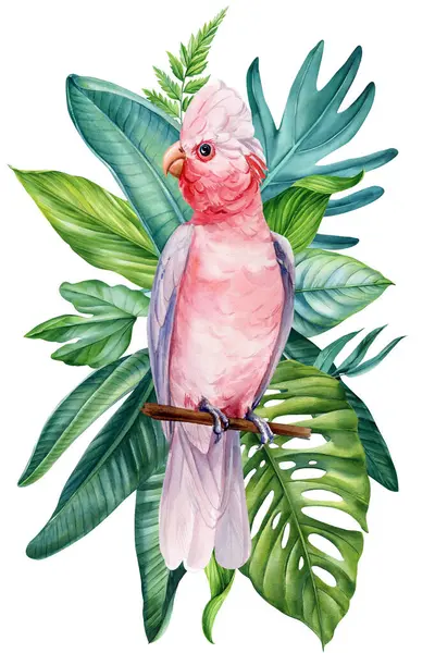 Kakadu Mit Palmblättern Auf Isoliertem Weißem Hintergrund Aquarell Illustration Von lizenzfreie Stockfotos