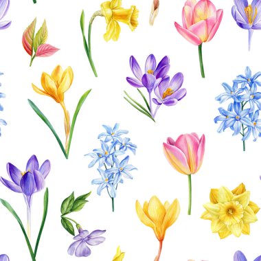 Suluboya bahar çiçekleri. Crocus, nergis ve laleler kusursuz desen, çiçekli arka plan şablonu. Modern kusursuz desen. Yüksek kaliteli illüstrasyon