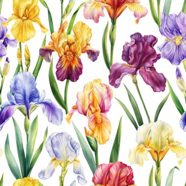 Suluboya çiçekleri. Yaprak arkaplan şablonlu kusursuz bitki deseni. Modern kusursuz desen. İris çiçeği. Yüksek kaliteli illüstrasyon