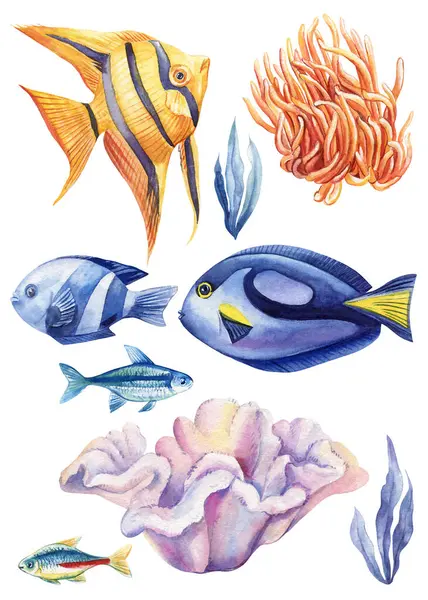 Fisch Aquarell Isoliert Auf Weißem Hintergrund Bunte Set Fische Handzeichnung Stockfoto