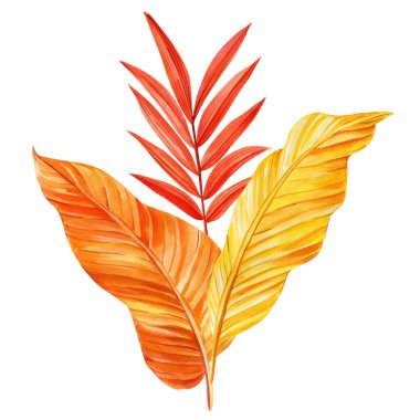 İzole edilmiş arka planda parlak tropikal yapraklar. Sarı, turuncu kuru yapraklar suluboya el, soyut çizimler yapıyor. Yüksek kaliteli illüstrasyon
