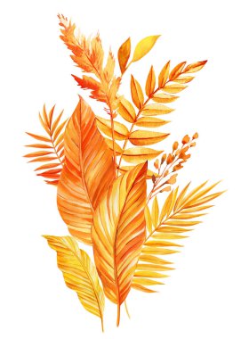 İzole edilmiş arka planda parlak tropikal yapraklar. Sarı, turuncu kuru yapraklar suluboya el çizimi. Yüksek kaliteli illüstrasyon
