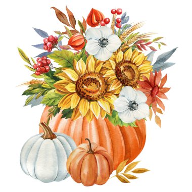 Balkabağı, ayçiçeği çiçekleri ve ağaç yaprakları suluboya. Klasik sonbahar botanik tablosu. Elle boyanmış sonbahar illüstrasyon klibi. Mevsimlik hasat tasarımı, dekor. Yüksek kaliteli illüstrasyon