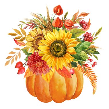 Balkabağı, ayçiçeği çiçekleri ve ağaç yaprakları suluboya. Klasik sonbahar botanik tablosu. Elle boyanmış sonbahar illüstrasyon klibi. Mevsimlik hasat tasarımı, dekor. Yüksek kaliteli illüstrasyon