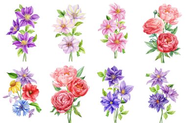 Çiçeği izole edilmiş beyaz bir arkaplana, suluboya resimli botanik resme, Clematis çiçekli Flora tebrik kartına yerleştir. Yüksek kaliteli illüstrasyon